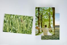 Öko-Fotos auf Recyclingpapier
